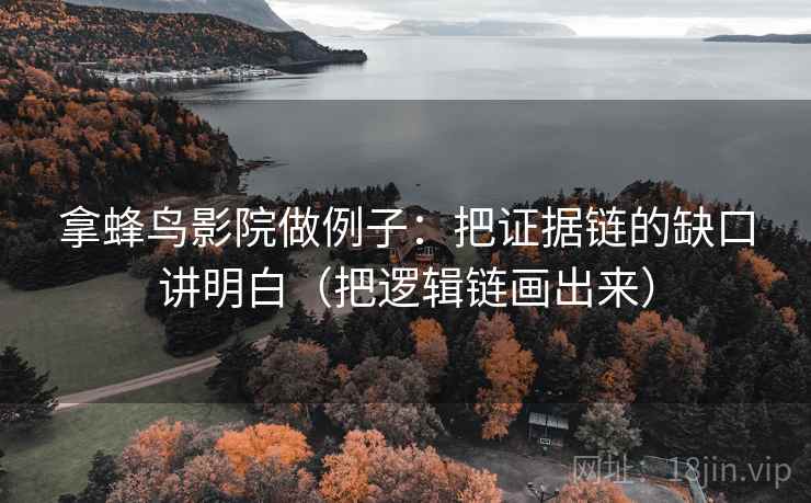 拿蜂鸟影院做例子：把证据链的缺口讲明白（把逻辑链画出来）
